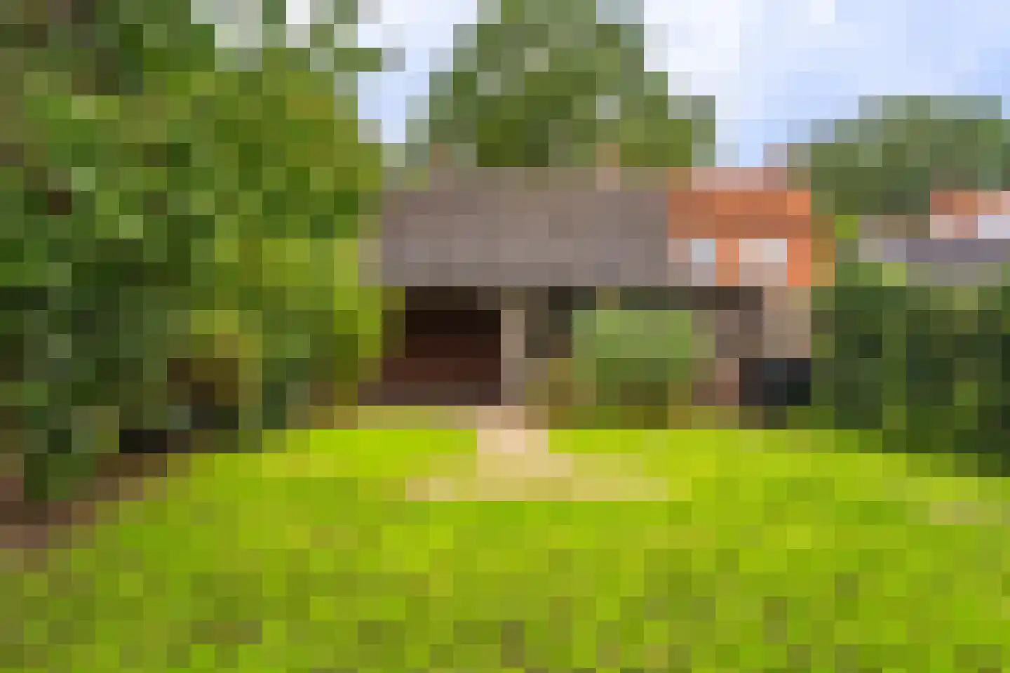 Wollinghuizerweg 18 Sellingen thumbnail 4