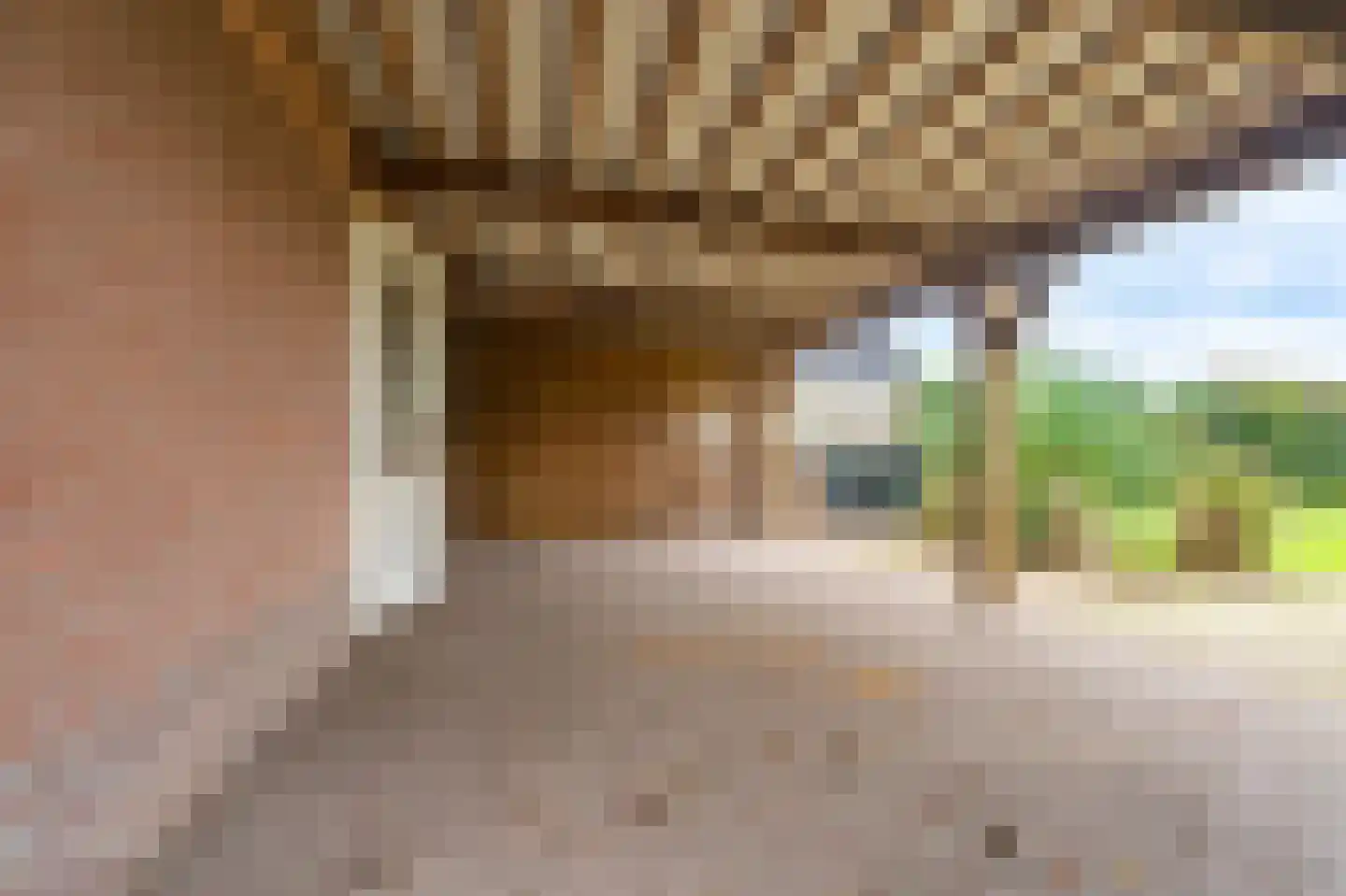 Wollinghuizerweg 18 Sellingen thumbnail 9