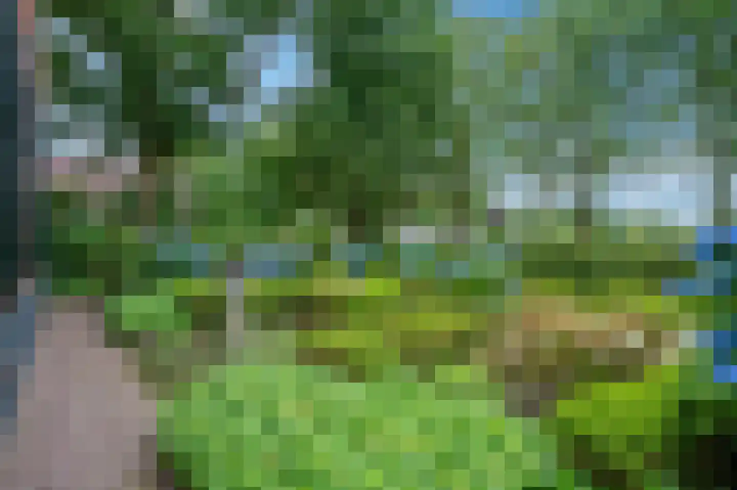 Wollinghuizerweg 50 Vlagtwedde thumbnail 11