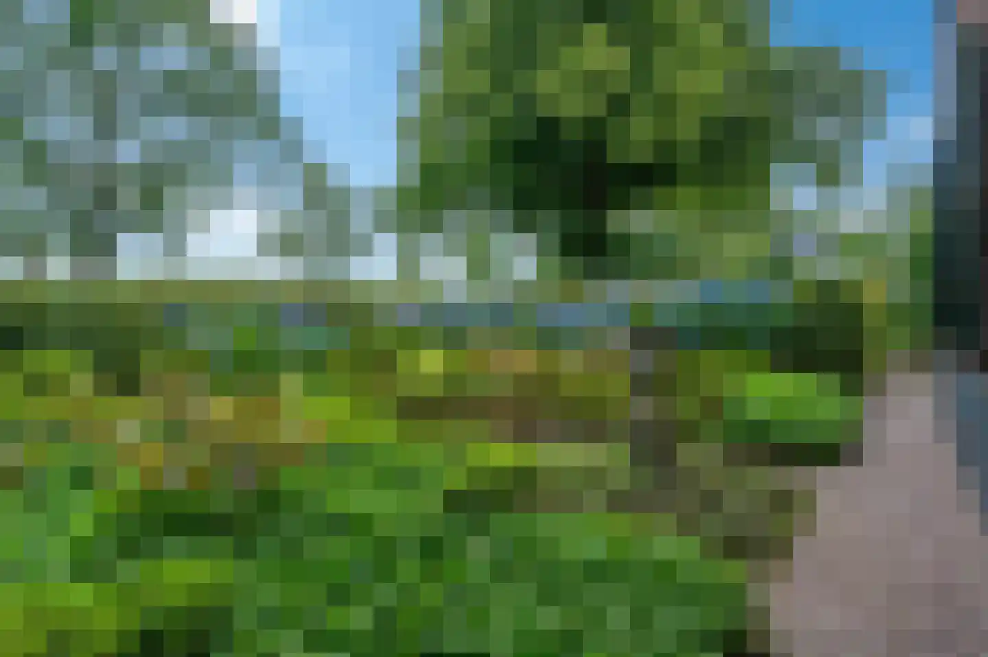 Wollinghuizerweg 50 Vlagtwedde thumbnail 12
