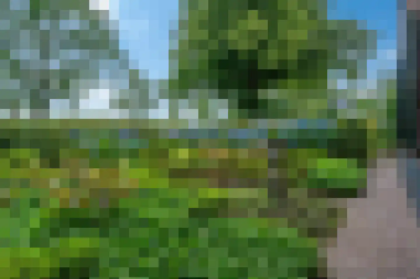 Wollinghuizerweg 50 Vlagtwedde thumbnail 12