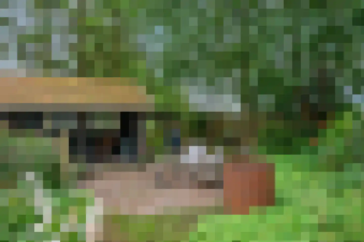 Wollinghuizerweg 50 Vlagtwedde thumbnail 22
