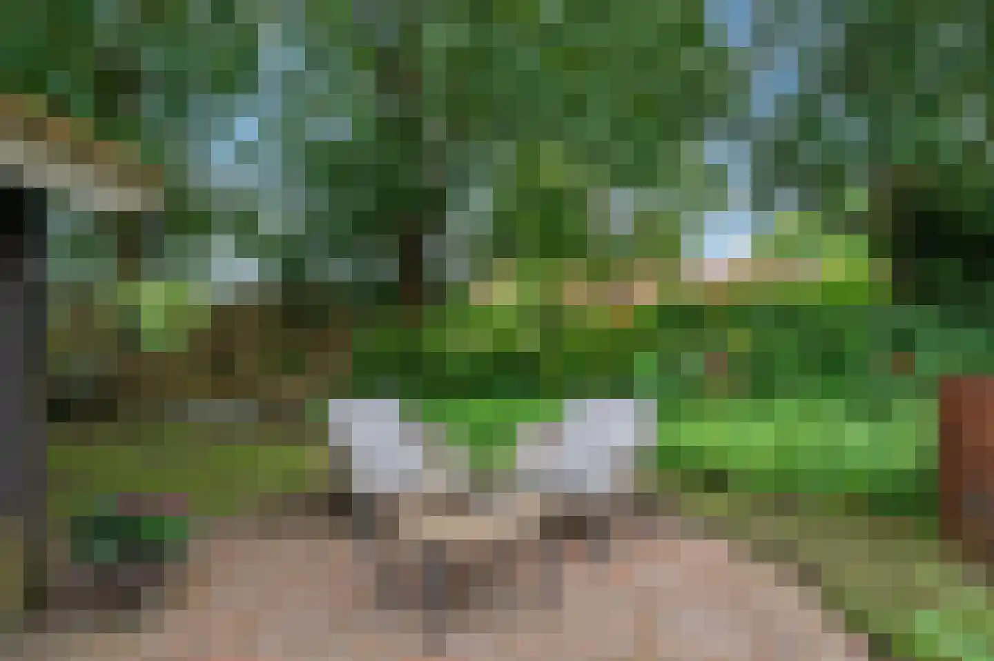 Wollinghuizerweg 50 Vlagtwedde thumbnail 24