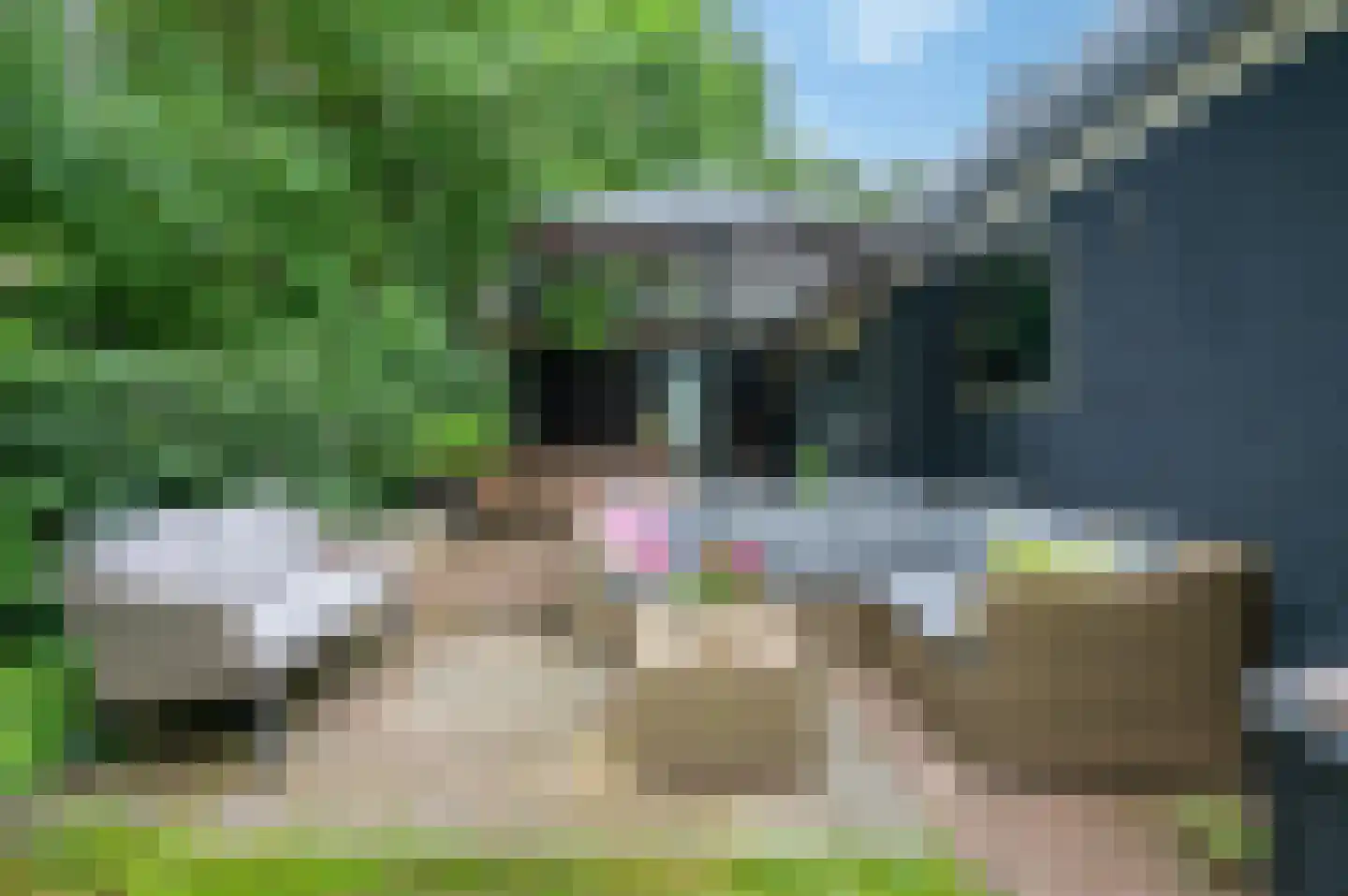 Wollinghuizerweg 50 Vlagtwedde thumbnail 25