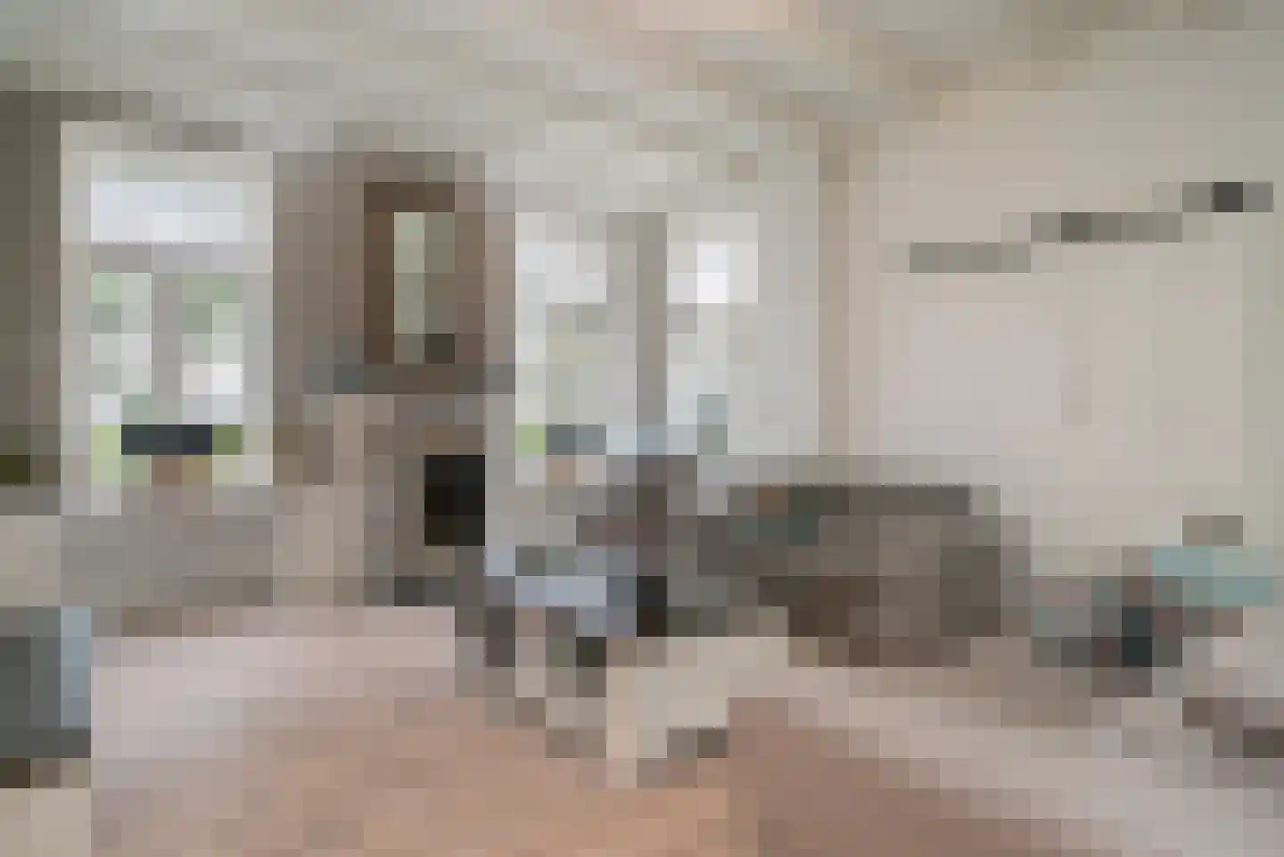 Wollinghuizerweg 50 Vlagtwedde thumbnail 26