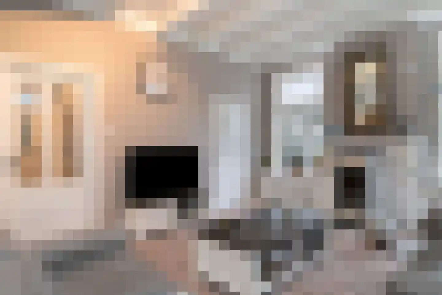 Wollinghuizerweg 50 Vlagtwedde thumbnail 29
