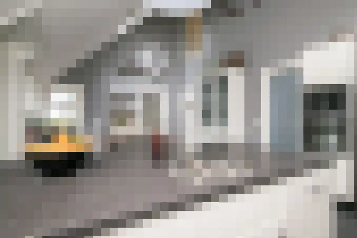 Wollinghuizerweg 50 Vlagtwedde thumbnail 32