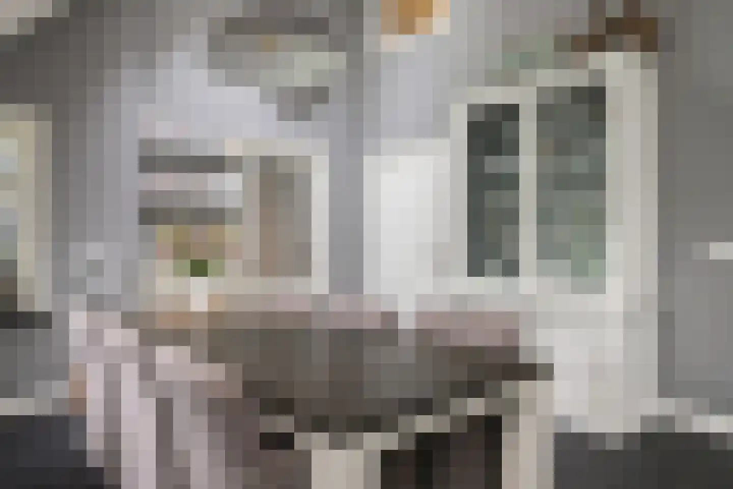 Wollinghuizerweg 50 Vlagtwedde thumbnail 34