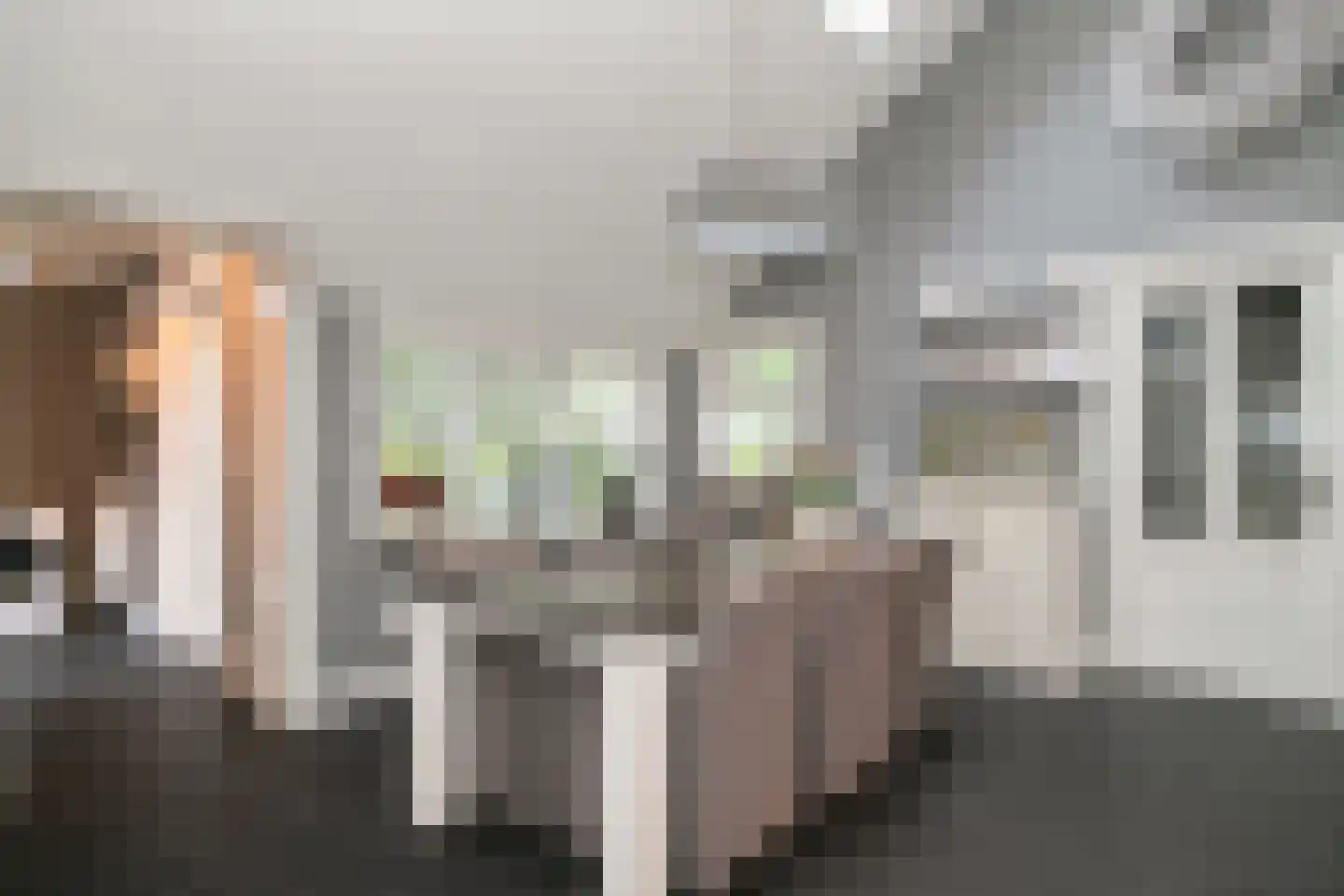 Wollinghuizerweg 50 Vlagtwedde thumbnail 35