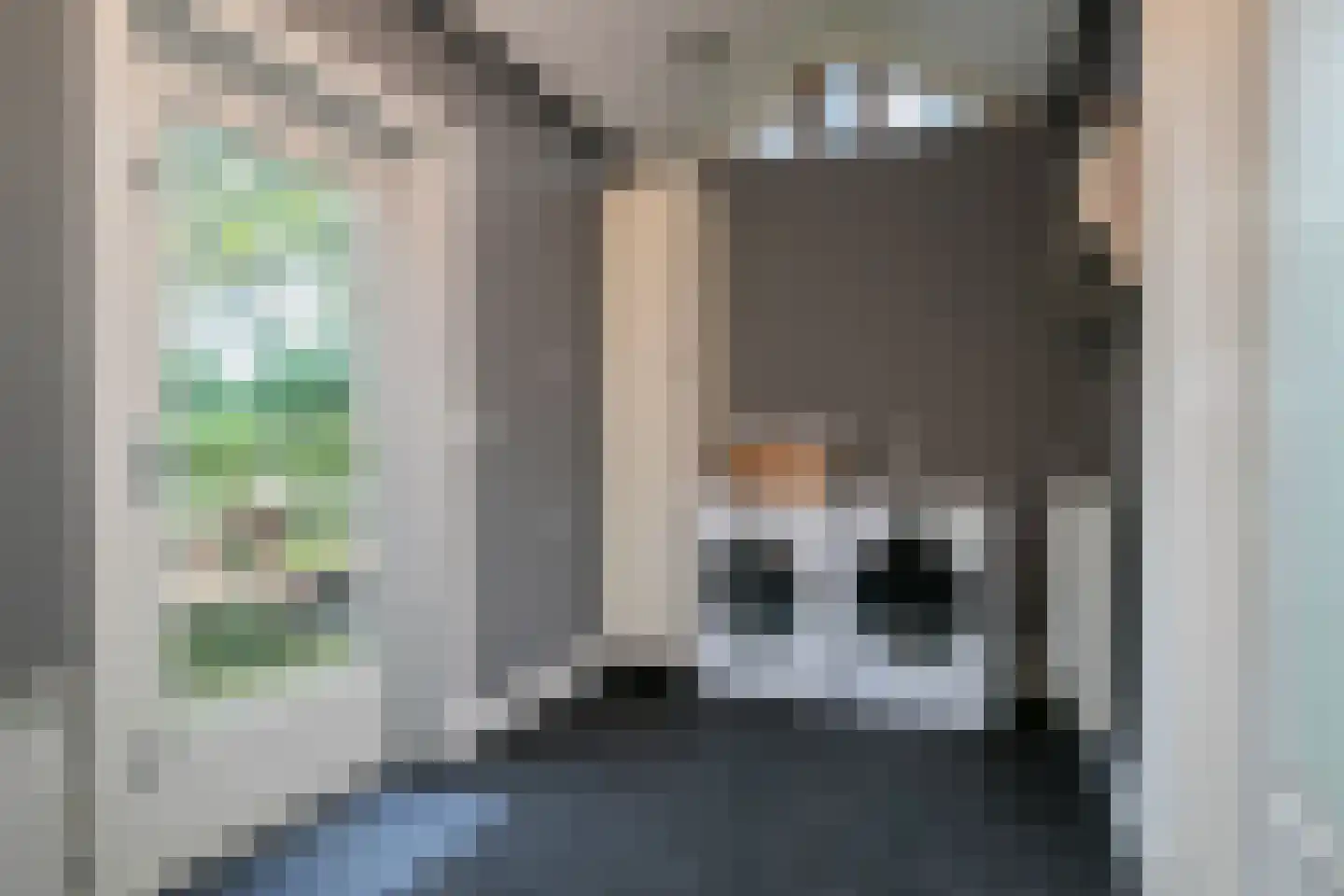 Wollinghuizerweg 50 Vlagtwedde thumbnail 36
