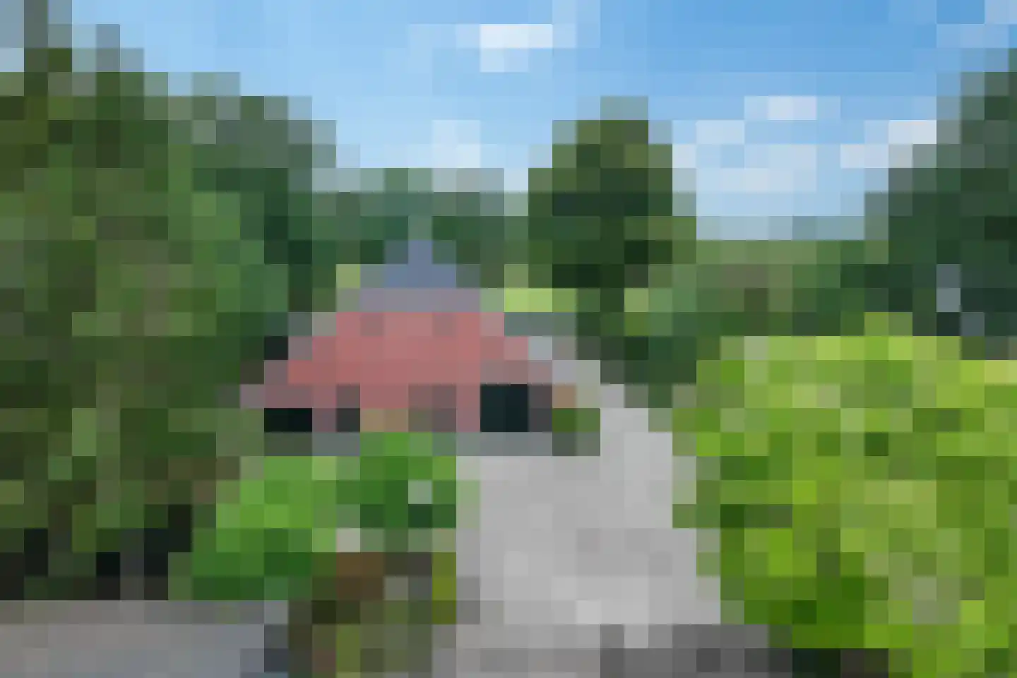 Wollinghuizerweg 50 Vlagtwedde thumbnail 4