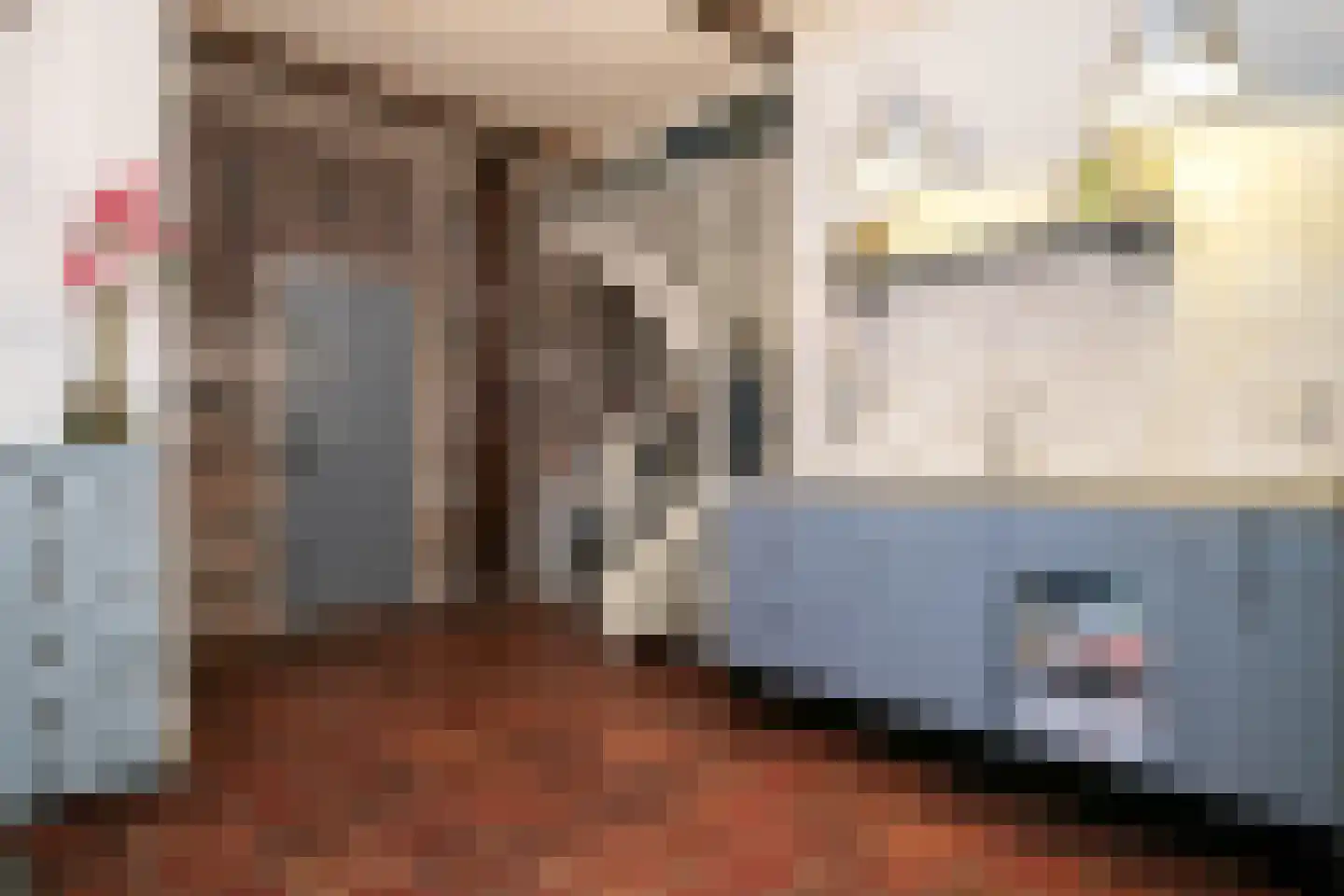 Wollinghuizerweg 50 Vlagtwedde thumbnail 40