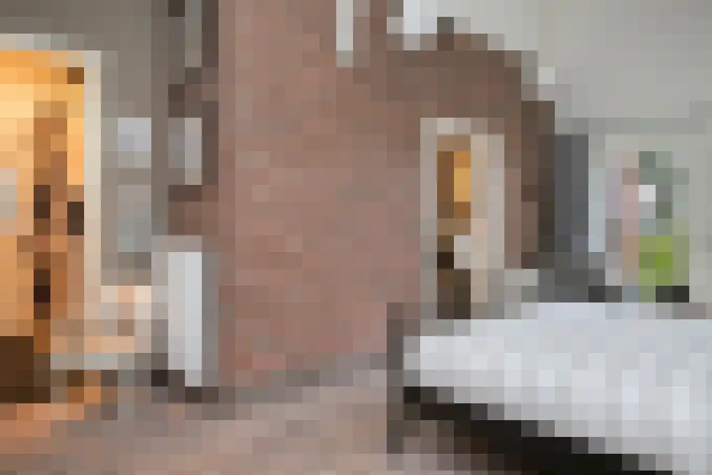 Wollinghuizerweg 50 Vlagtwedde thumbnail 48
