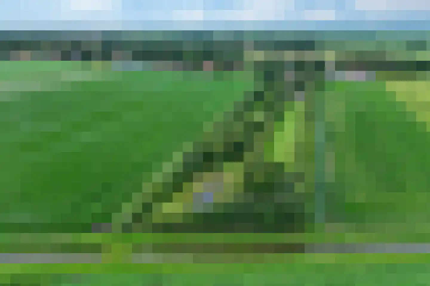 Wollinghuizerweg 50 Vlagtwedde thumbnail 5