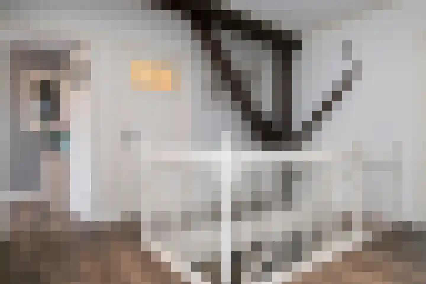 Wollinghuizerweg 50 Vlagtwedde thumbnail 51