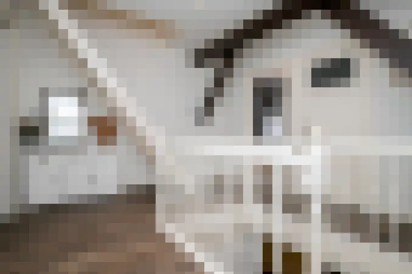 Wollinghuizerweg 50 Vlagtwedde thumbnail 52