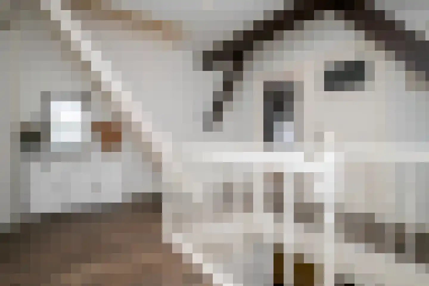 Wollinghuizerweg 50 Vlagtwedde thumbnail 52