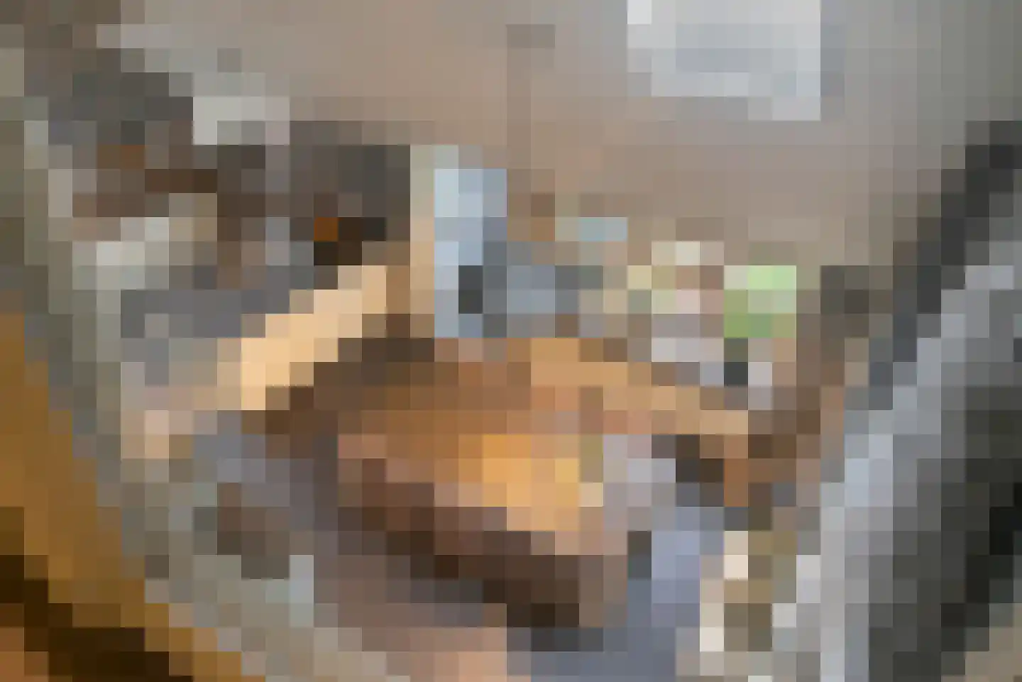 Wollinghuizerweg 50 Vlagtwedde thumbnail 53