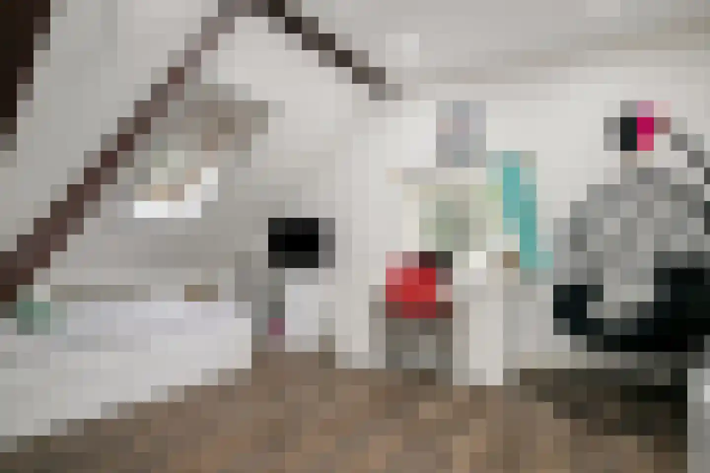 Wollinghuizerweg 50 Vlagtwedde thumbnail 54