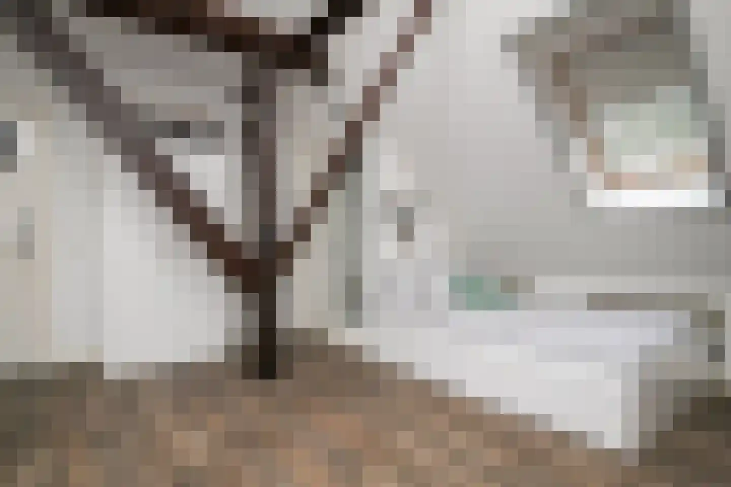 Wollinghuizerweg 50 Vlagtwedde thumbnail 55
