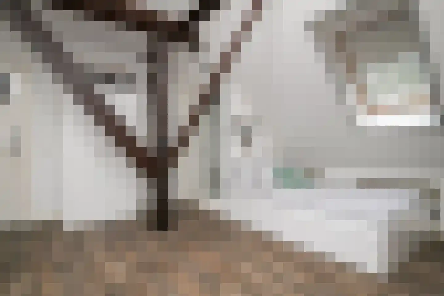 Wollinghuizerweg 50 Vlagtwedde thumbnail 55