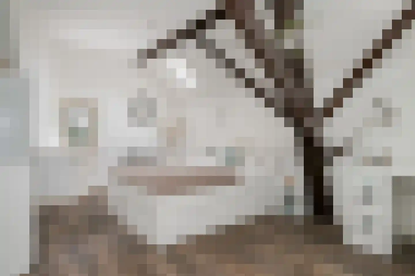Wollinghuizerweg 50 Vlagtwedde thumbnail 56