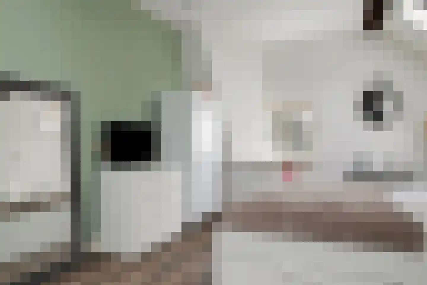 Wollinghuizerweg 50 Vlagtwedde thumbnail 57
