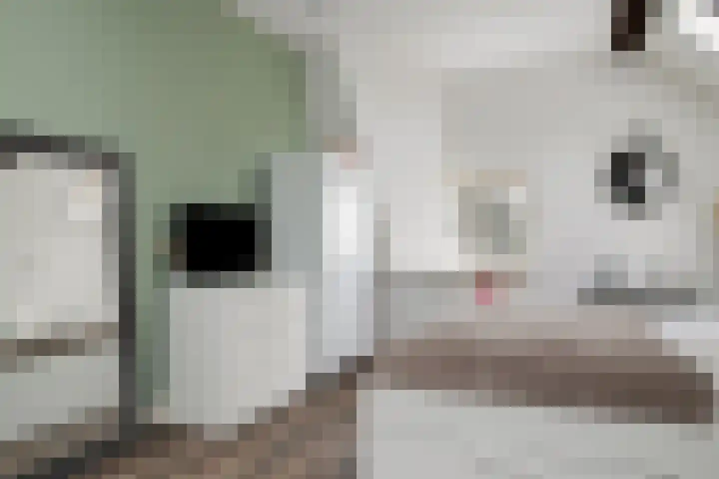 Wollinghuizerweg 50 Vlagtwedde thumbnail 57