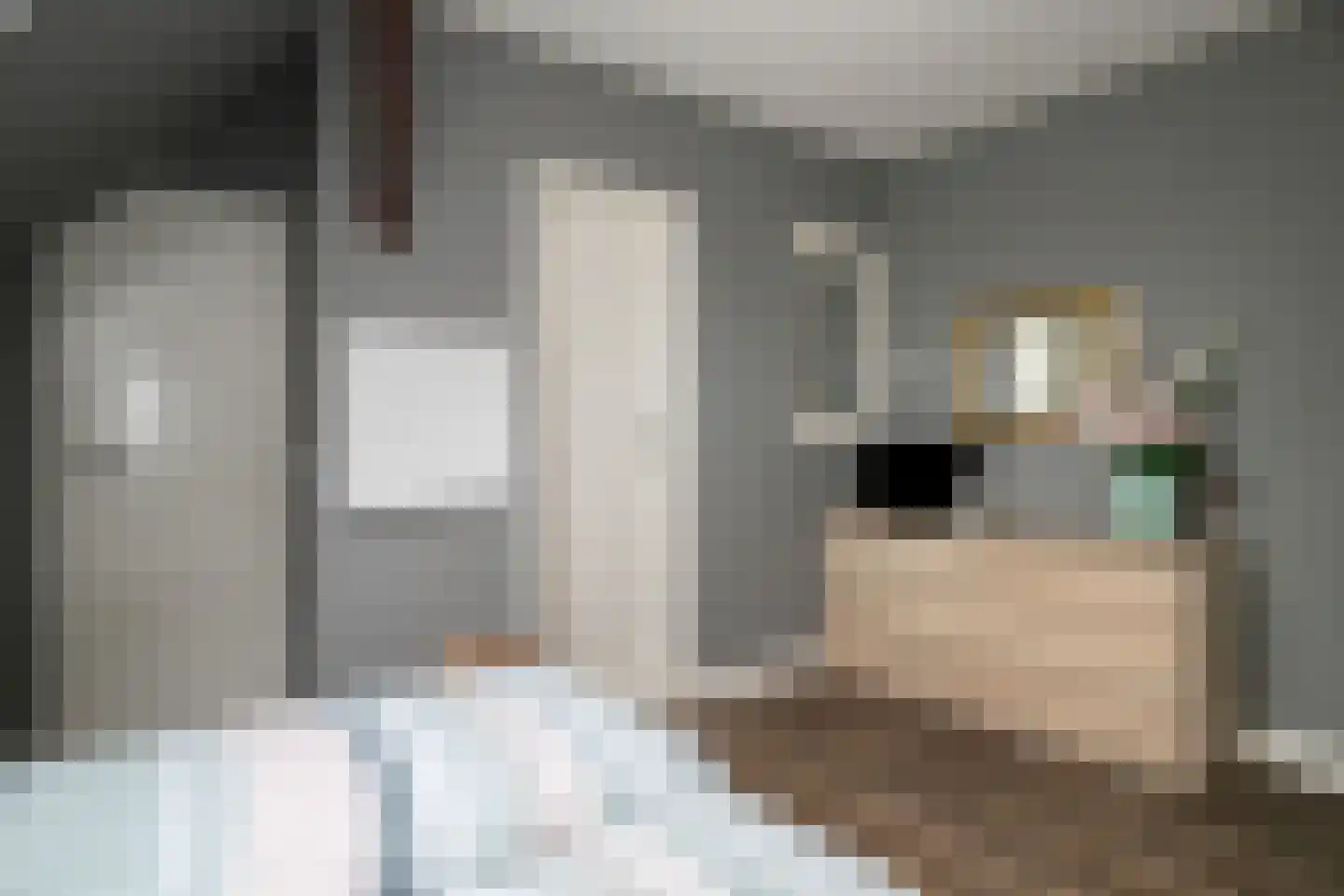 Wollinghuizerweg 50 Vlagtwedde thumbnail 59