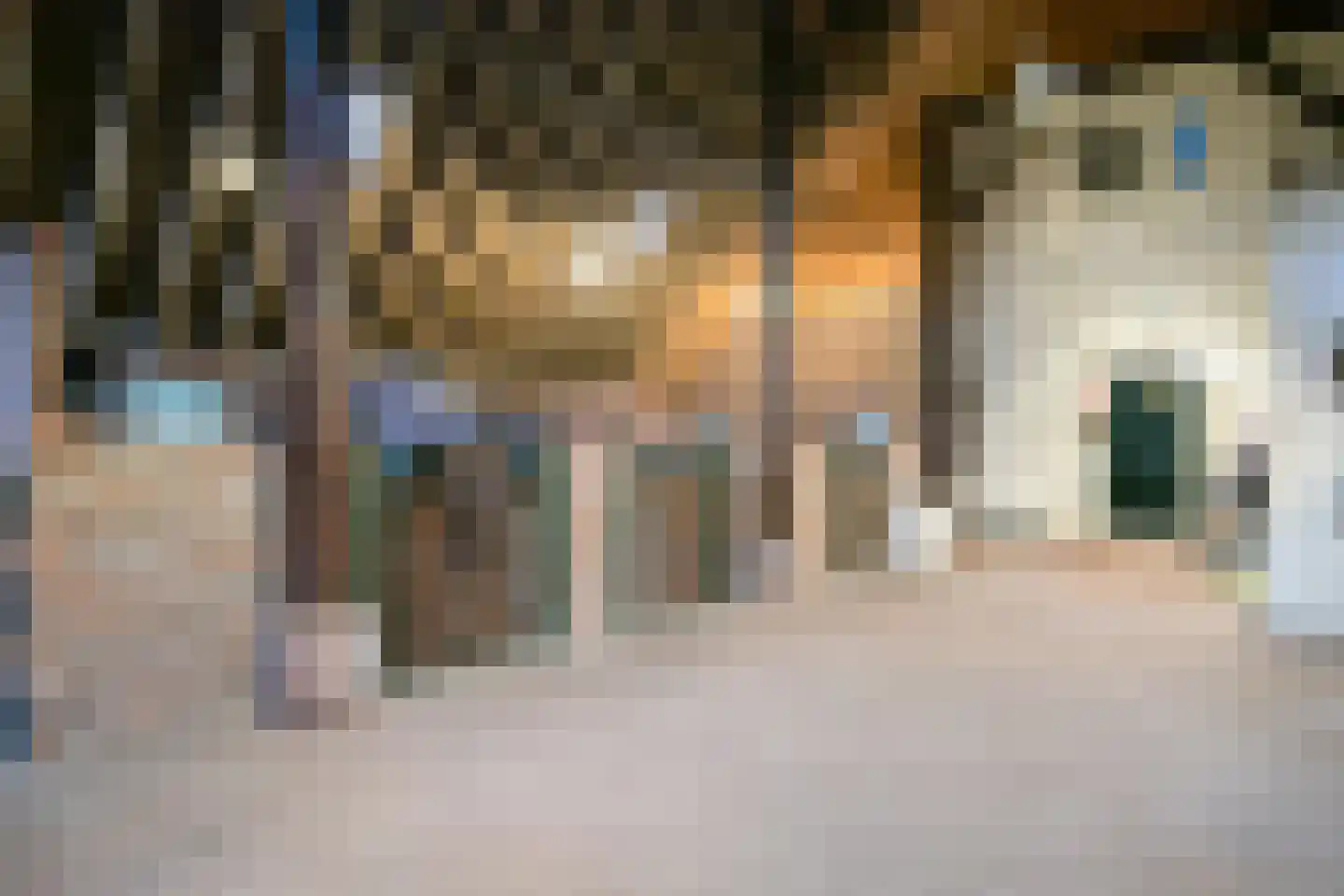 Wollinghuizerweg 50 Vlagtwedde thumbnail 63
