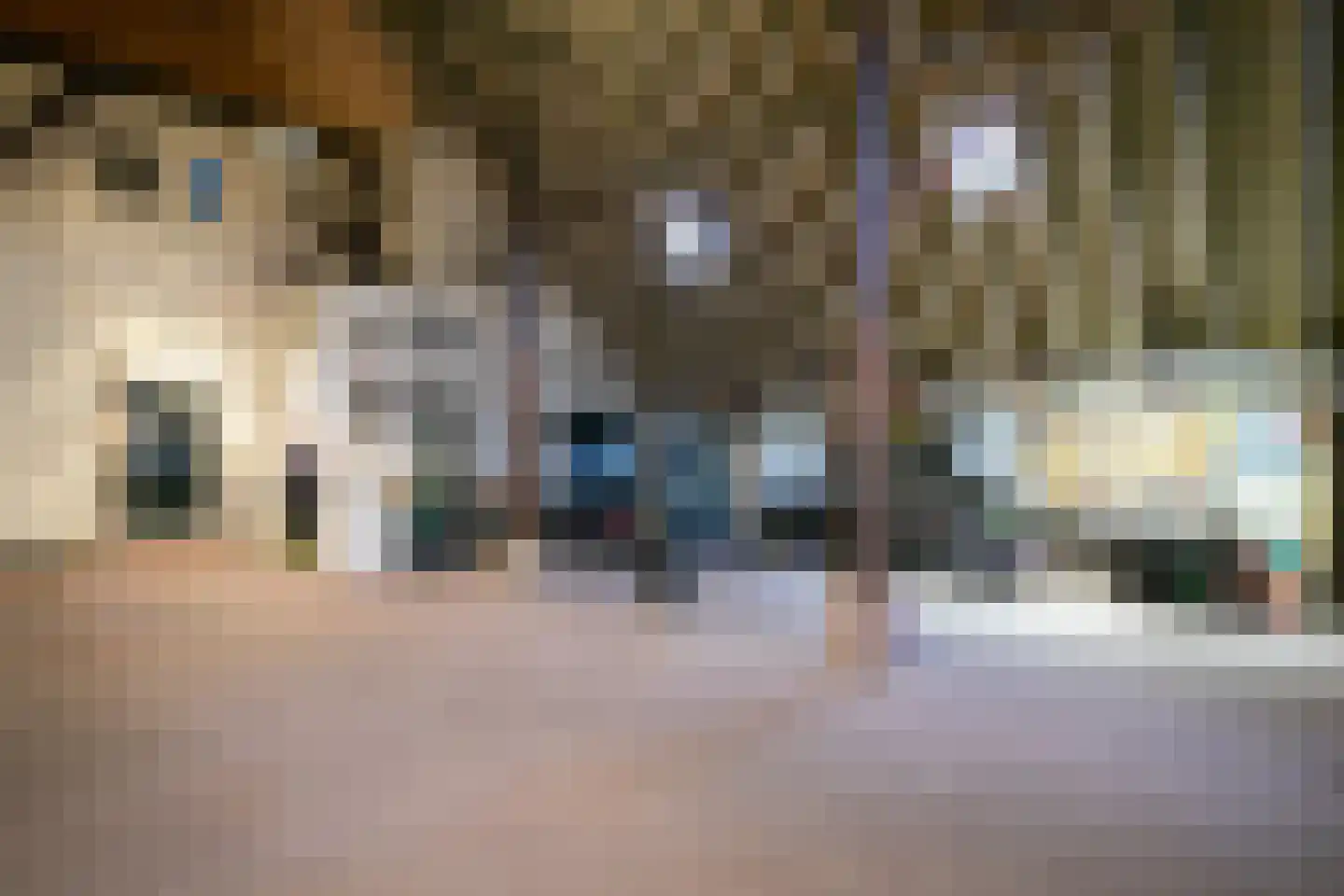 Wollinghuizerweg 50 Vlagtwedde thumbnail 64