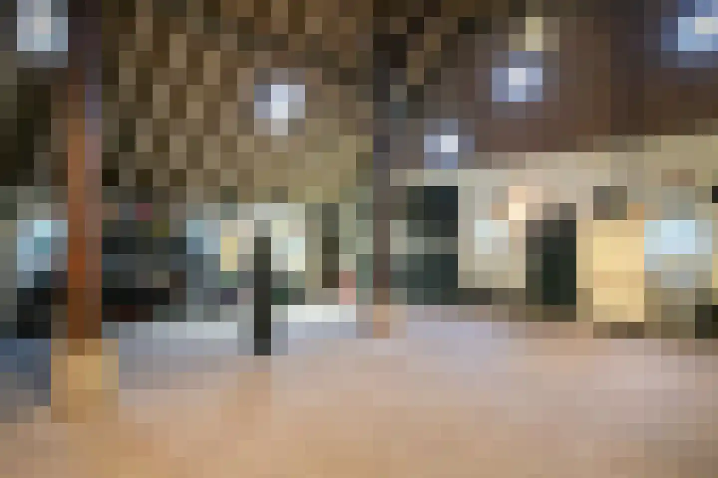 Wollinghuizerweg 50 Vlagtwedde thumbnail 65