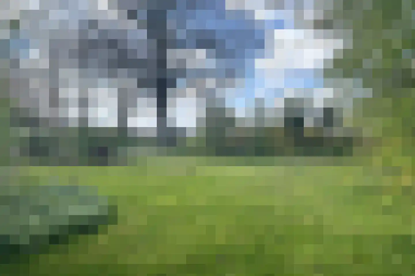 Wollinghuizerweg in Vlagtwedde