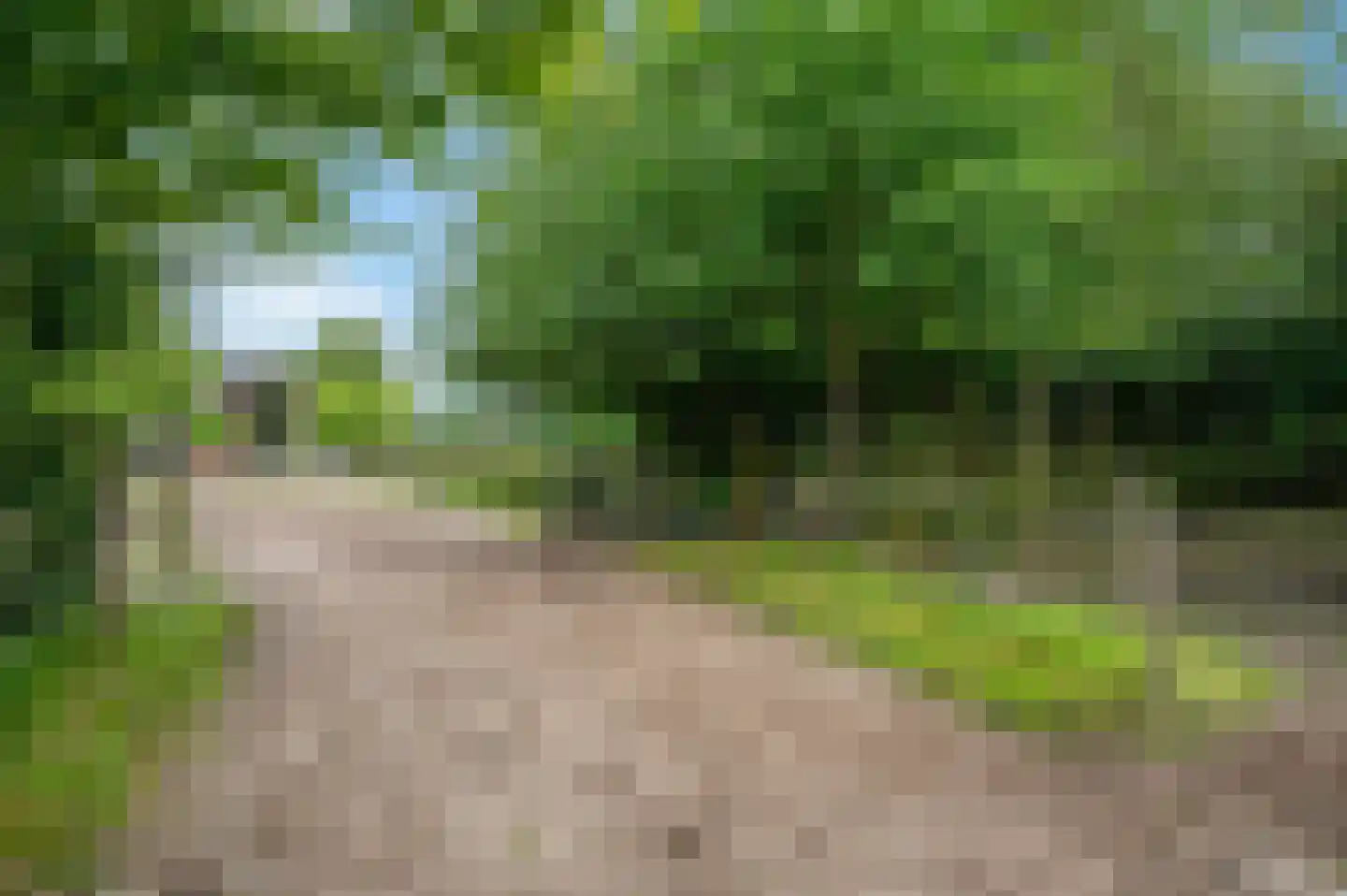 Wollinghuizerweg Vlagtwedde thumbnail 10