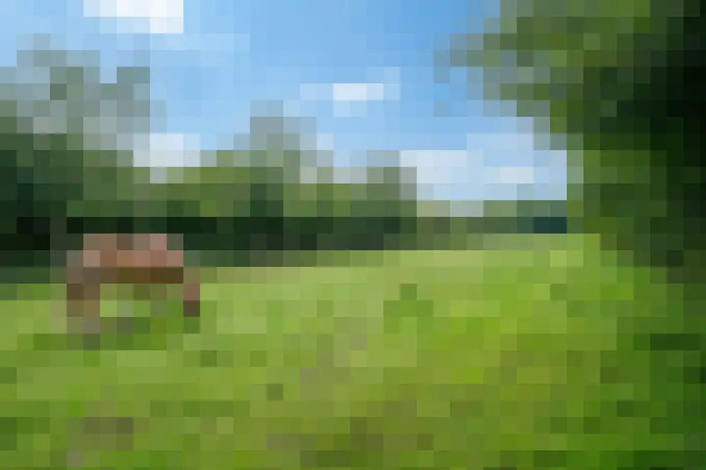 Wollinghuizerweg Vlagtwedde thumbnail 12