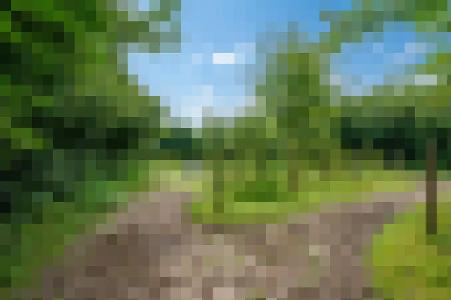 Wollinghuizerweg Vlagtwedde thumbnail 13