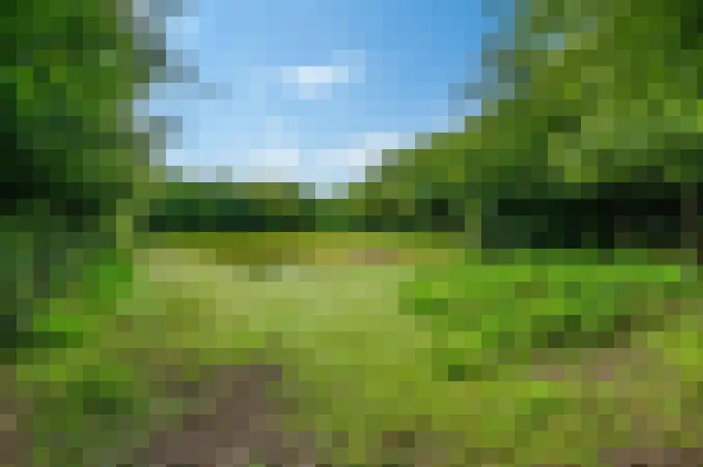 Wollinghuizerweg Vlagtwedde thumbnail 14