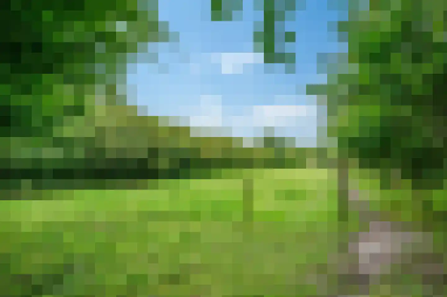 Wollinghuizerweg Vlagtwedde thumbnail 15