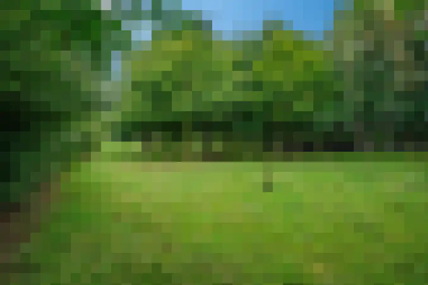 Wollinghuizerweg Vlagtwedde thumbnail 16