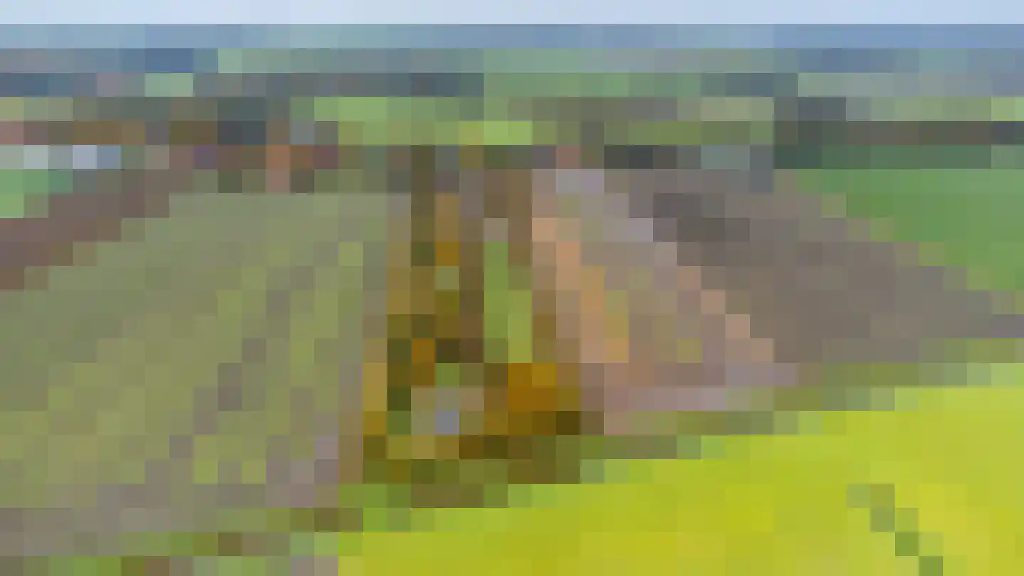 Wollinghuizerweg Vlagtwedde thumbnail 17