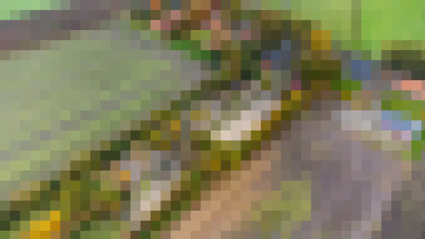 Wollinghuizerweg Vlagtwedde thumbnail 18