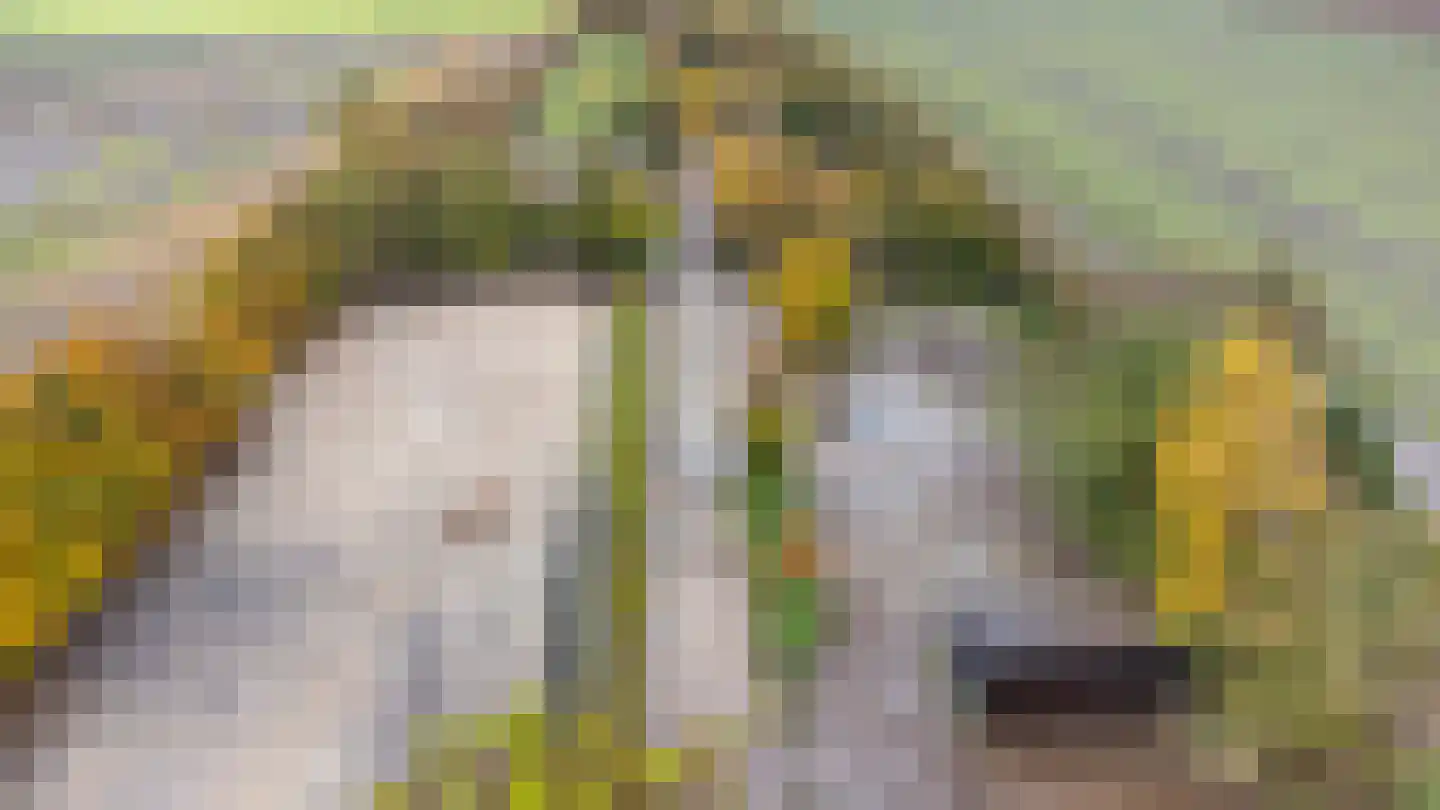 Wollinghuizerweg Vlagtwedde thumbnail 19