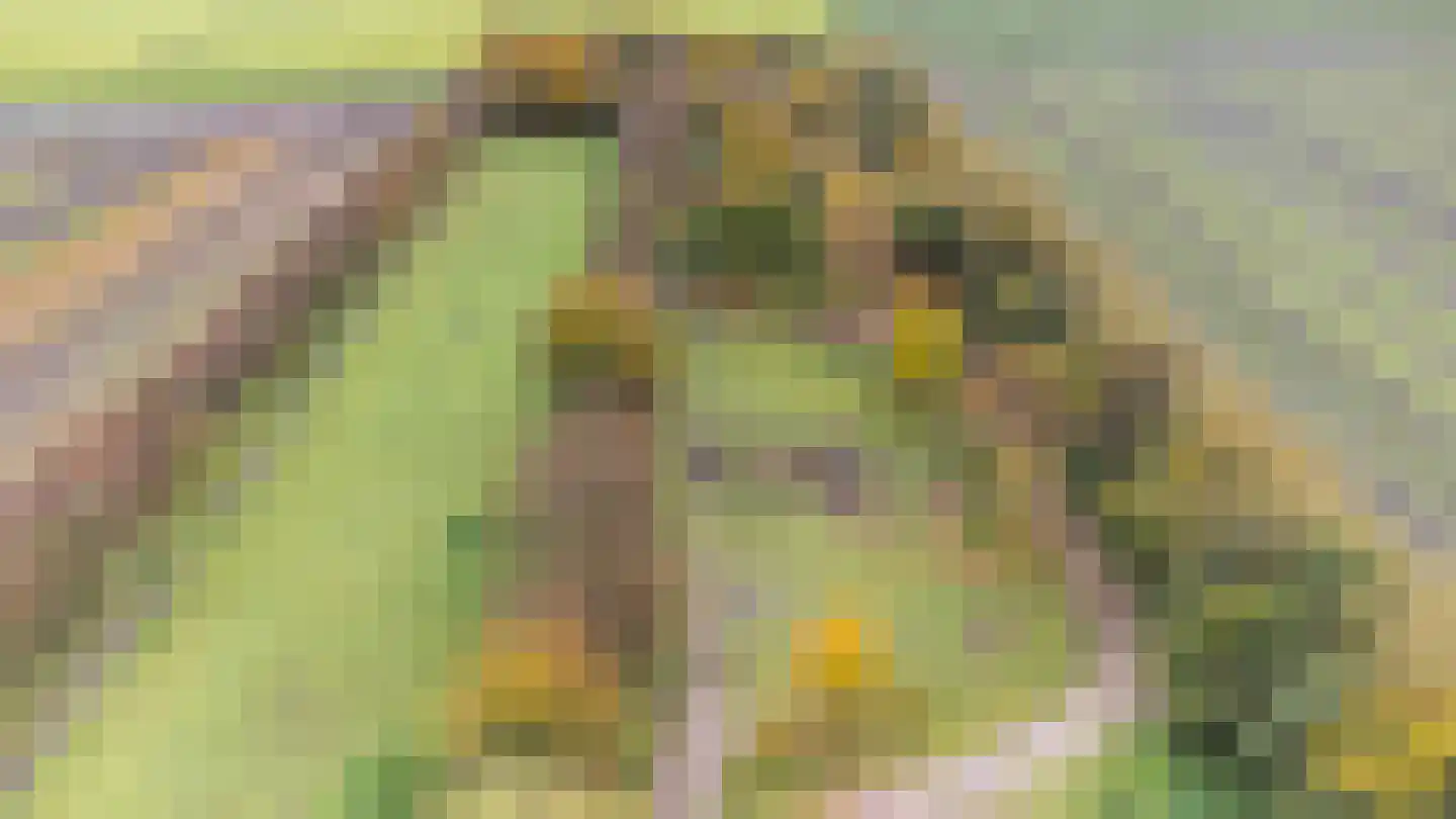 Wollinghuizerweg Vlagtwedde thumbnail 20