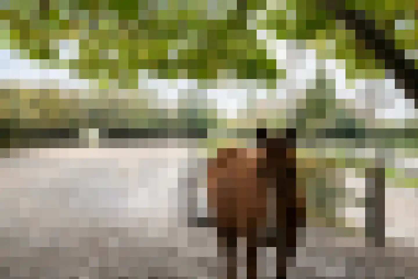 Wollinghuizerweg Vlagtwedde thumbnail 6
