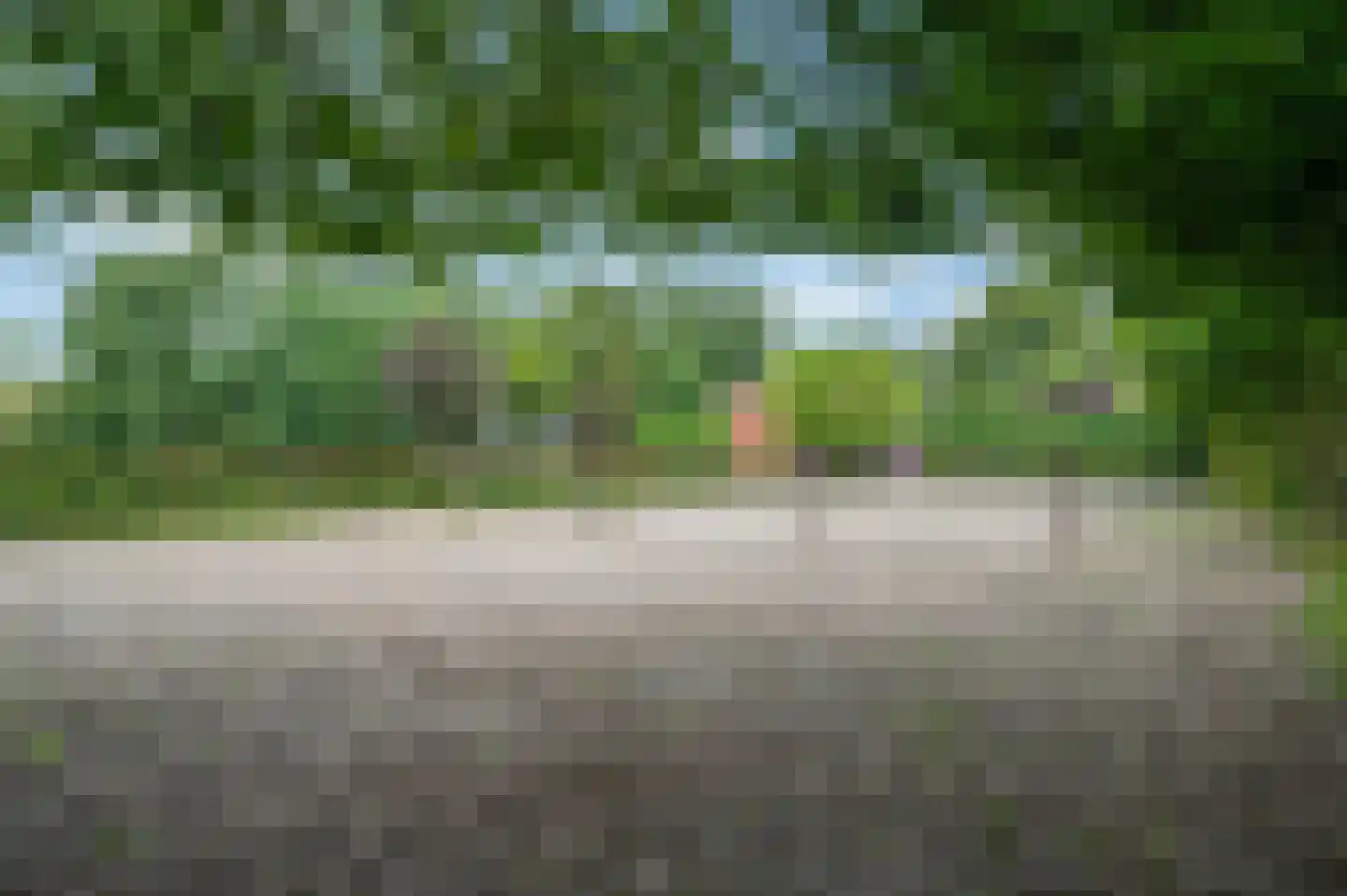 Wollinghuizerweg Vlagtwedde thumbnail 8