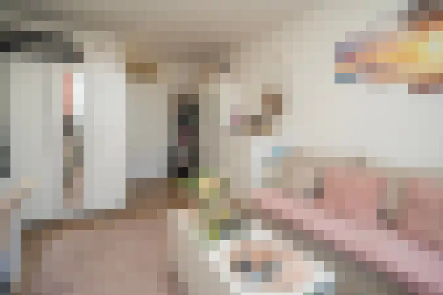 Wolmaransstraat 32 Tilburg thumbnail 13
