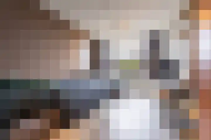 Wolmaransstraat 42 Tilburg thumbnail 5