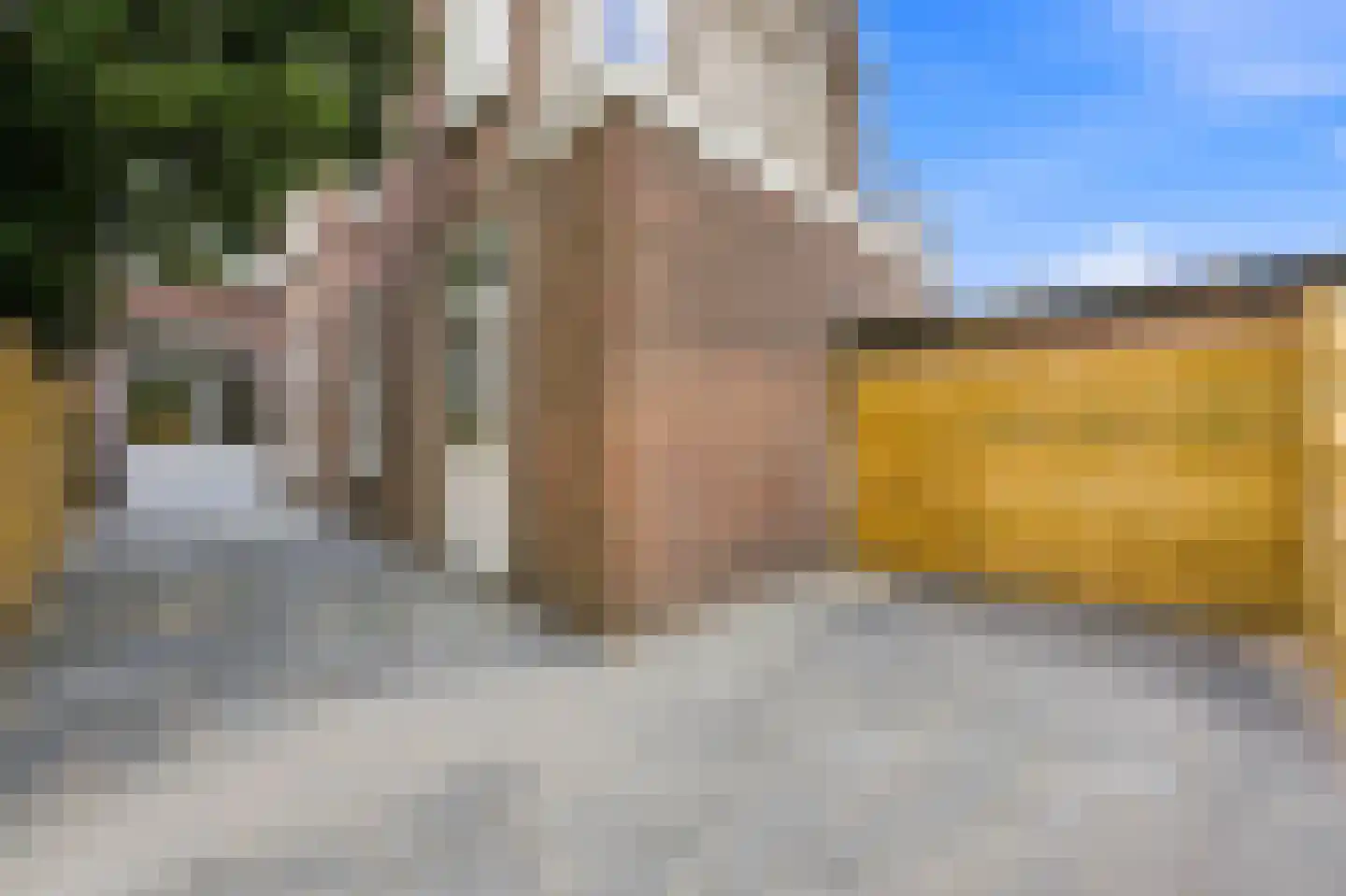 Wolmaransstraat 49 Den Haag thumbnail 4