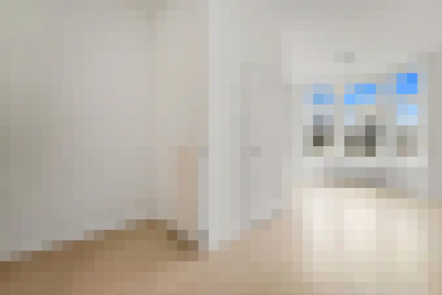 Wolmaransstraat 57 Den Haag thumbnail 8