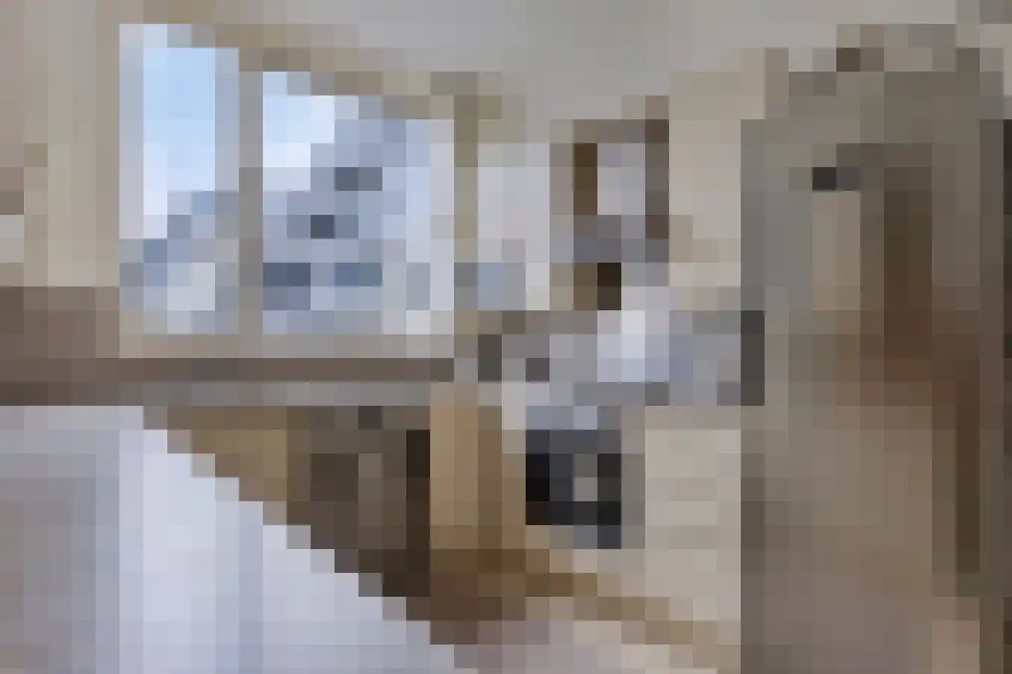 Wolmaransstraat 67 Den Haag thumbnail 9